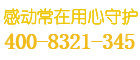 天鹰保险柜